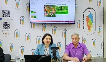 Гранты: тратим деньги не только законно, но и эффективно