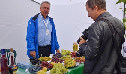 Фестиваль, посвящённый винограду и виноградарям