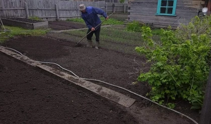 Частые ошибки огородников