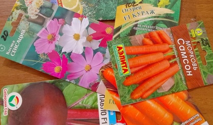 Выбираем лучшие семена и готовимся к новому сезону