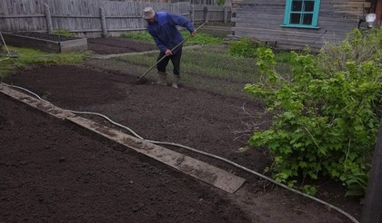 Частые ошибки огородников