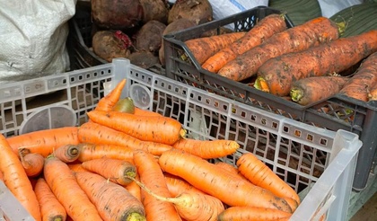 Да не оскудеет рука дающего!