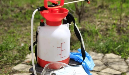 Обработка сада от вредителей и болезней