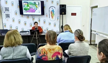 Учимся создавать композиции из камня и декоративных растений