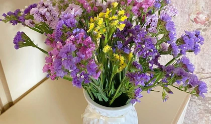 Сухоцвет, овеянный легендами, или Как продлить лето