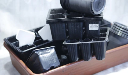 Ранняя подготовка – залог хорошей рассады